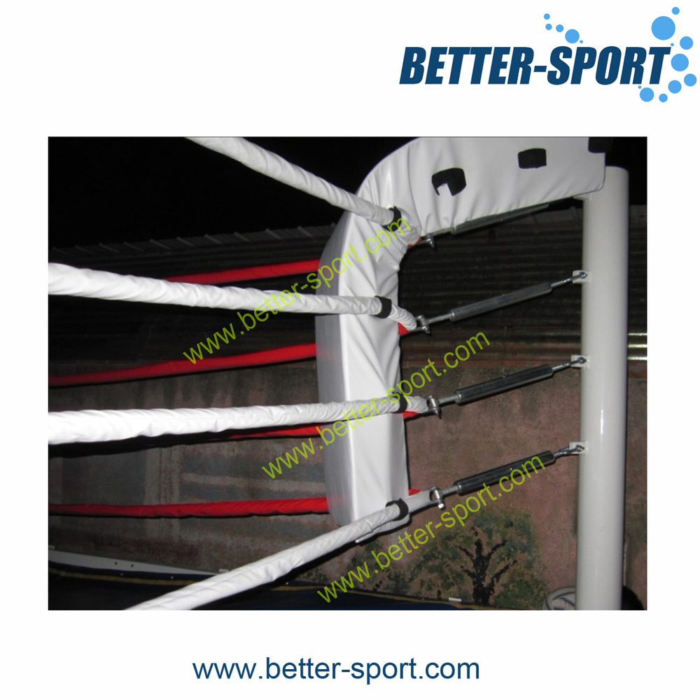 better-sp234ort.jpg