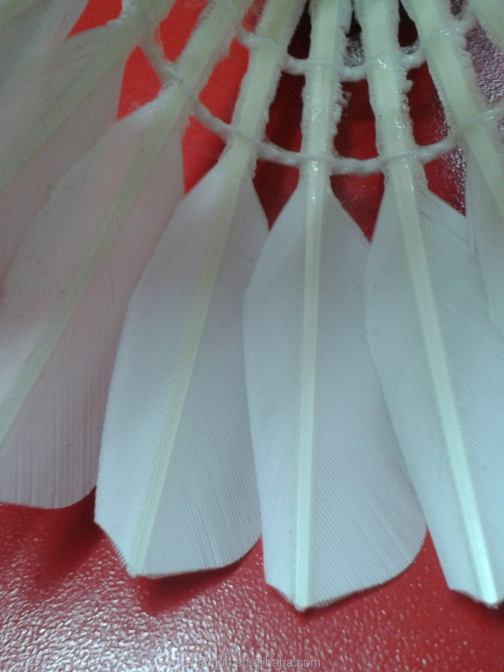 アヒルの羽水202少し- 広い熱い販売の中間練習用羽根仕入れ・メーカー・工場