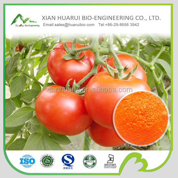 100% Natural Tomato Extract Lycopene