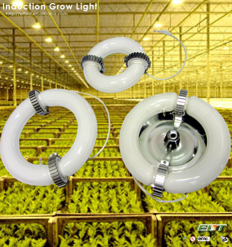 成長の光と植物誘導40w10wチップはライトを育てる導か問屋・仕入れ・卸・卸売り