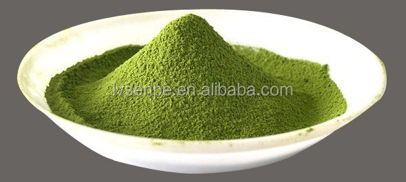 Green Tea Extract Powder Green Tea Polyphenols