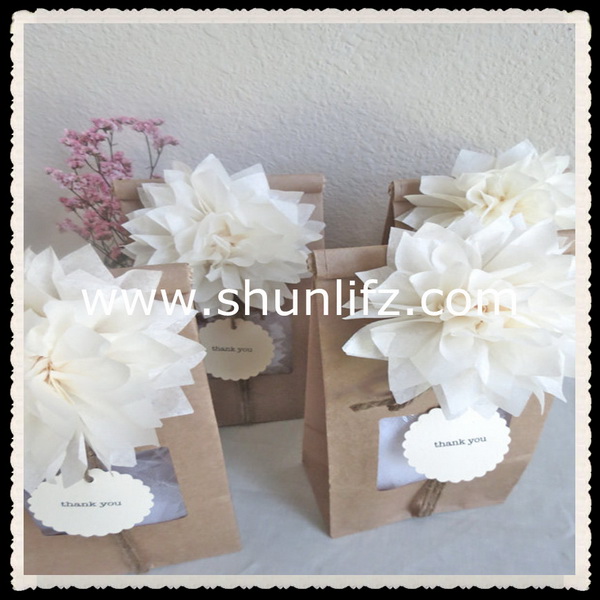 paper pom pom101.jpg