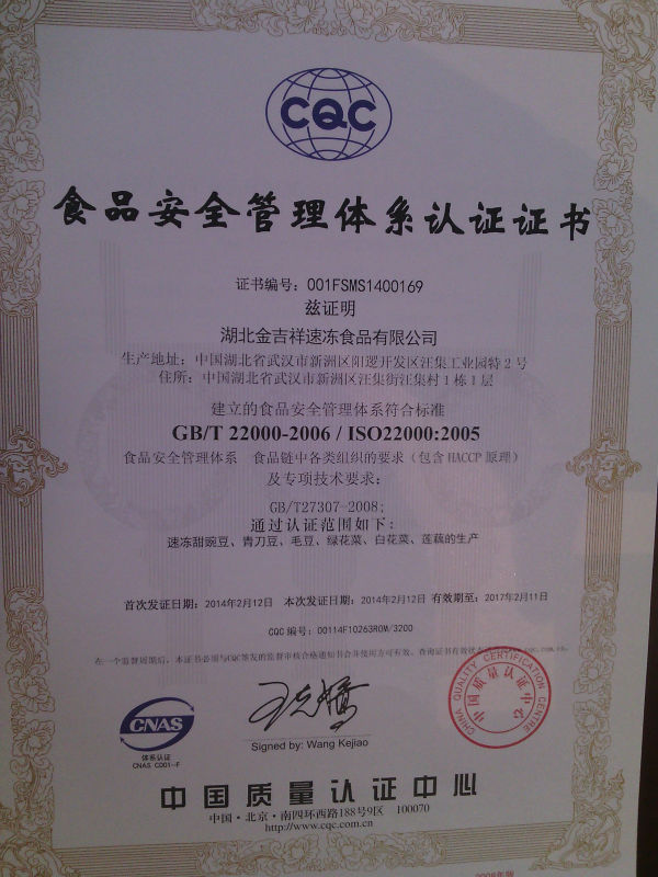 wholesale frozen vegetables cauliflower from Chinese supplier