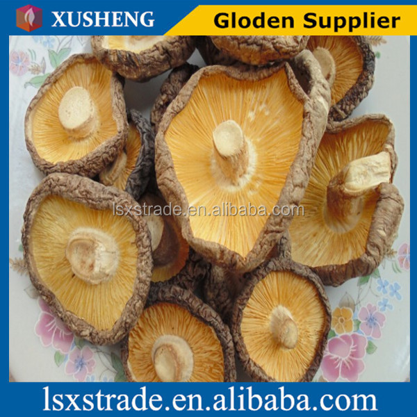 Dried shiitake mushroom Wild mushroom Fresh mushrooms dry mushrooms Wholesale(B)
