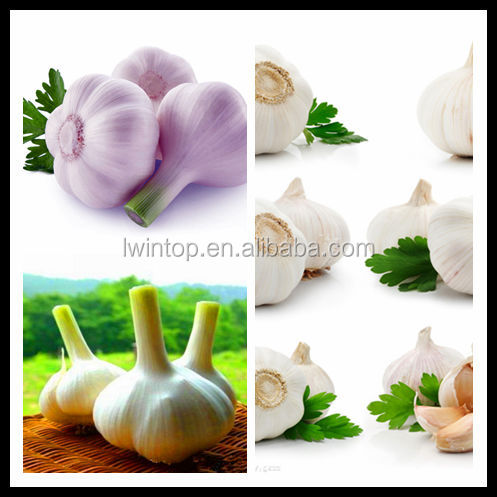2014 crop Chinese fresh white garlic price