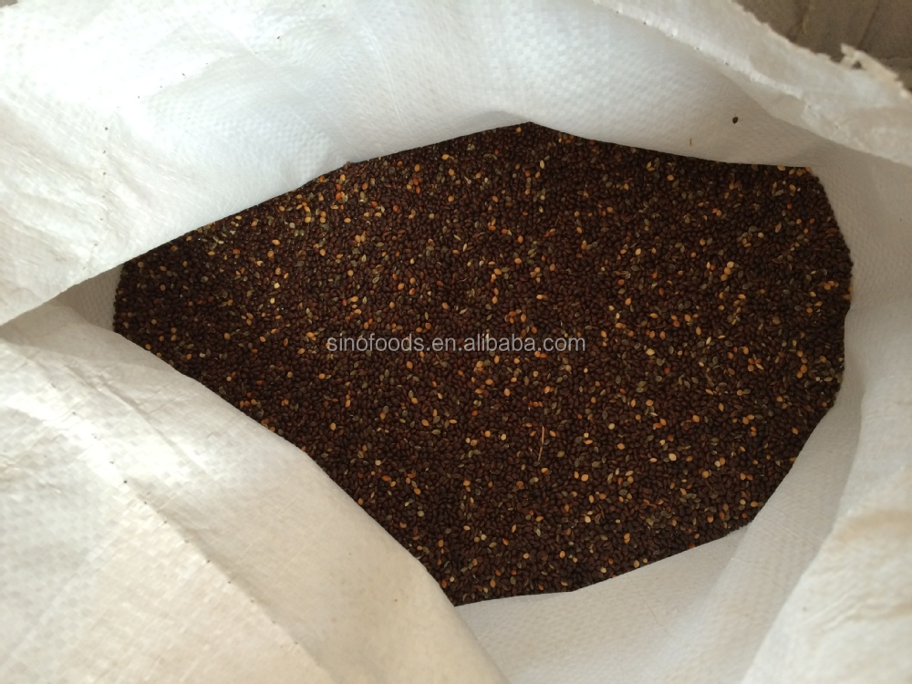 new crop black broomcorn millets millet factory