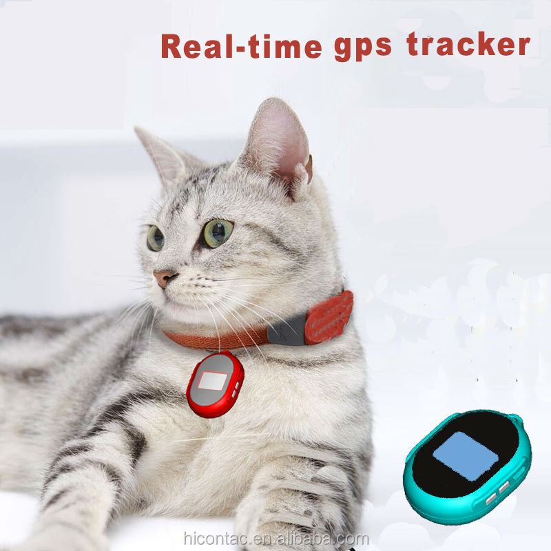 Android App Mini Gps Tracker For Cat,Kids,Elderly,Pet,Asset - Buy Gps ...