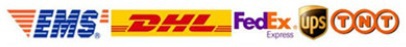 experss delivery logo.jpg