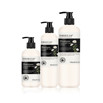 300 chamomile shampoo.jpg