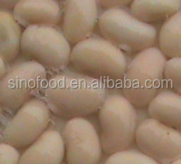 2013 crop canned red kidney beans easy open lid