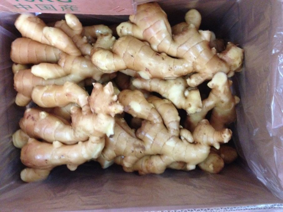 100-150g Up Fresh Ginger for sale To All Market