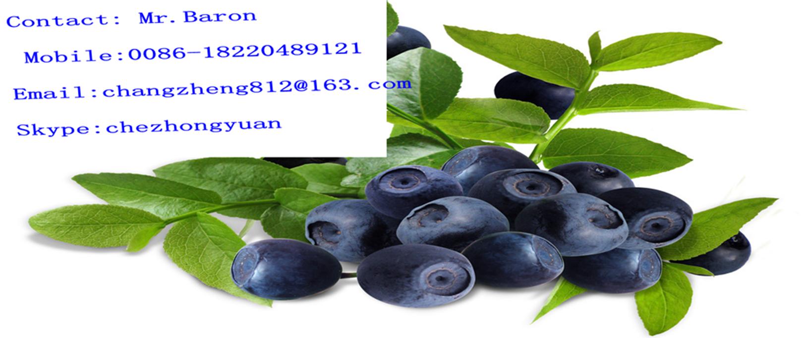 Cinnamon Bark Extract Powder (Cortex Cinnamomi)
