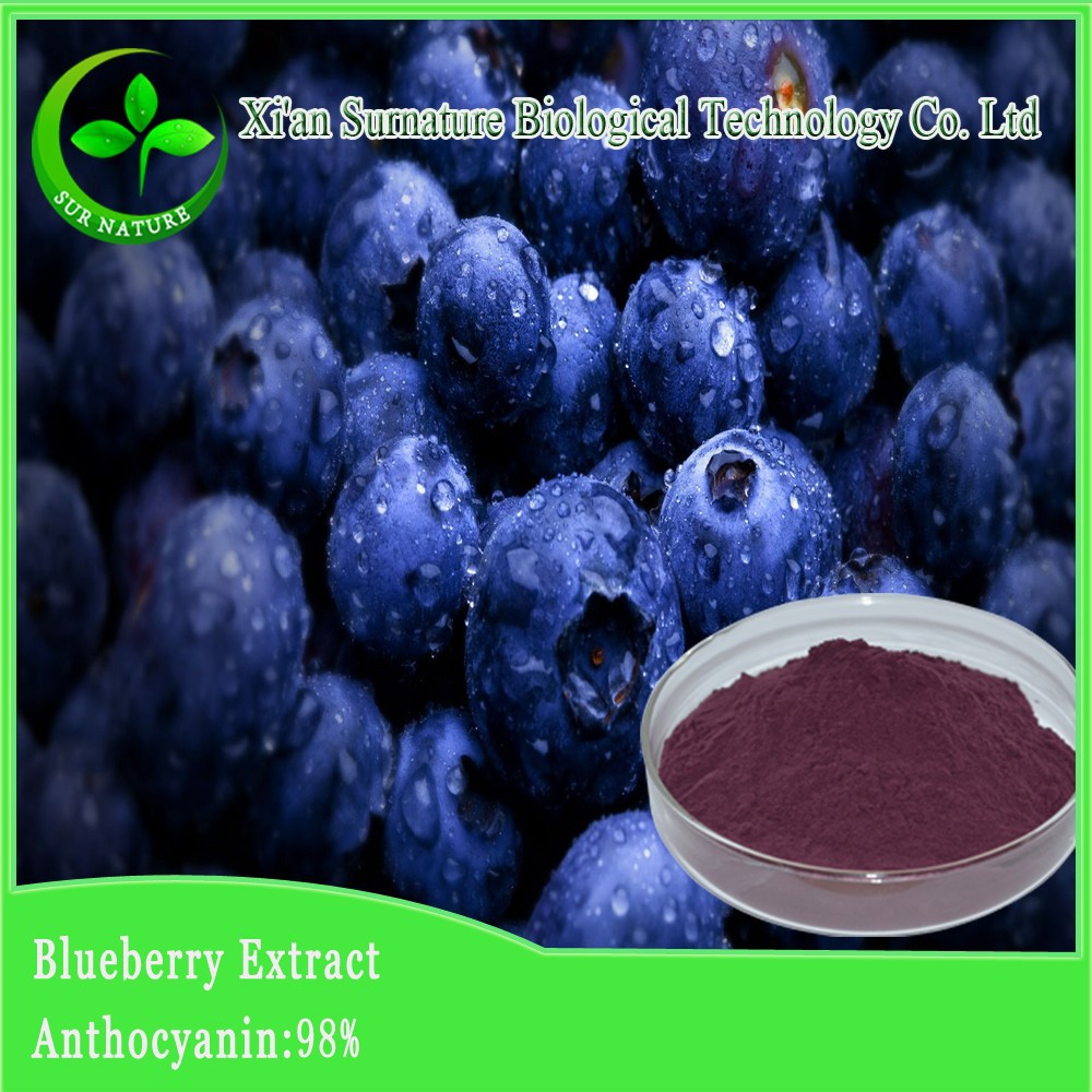 supply top quality 100% natural organic blueberry