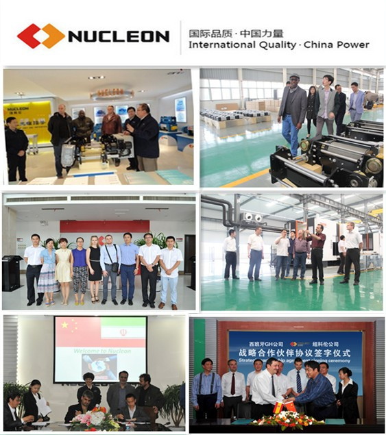 Nucleon高品質ワイヤーロープ電気ホイスト用販売仕入れ・メーカー・工場