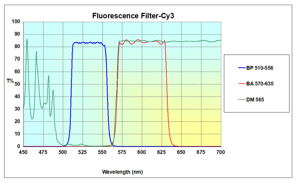 Fluorescent Microscope Filter Used in Fluorescent Probe Technique(id
