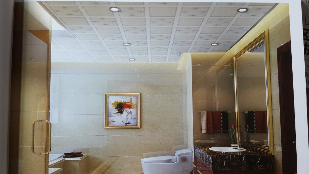 New Building Materials Modern House Design 60x60 Gypsum Ceiling