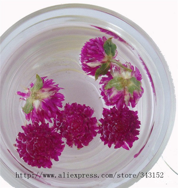 Globe amaranth Flower tea