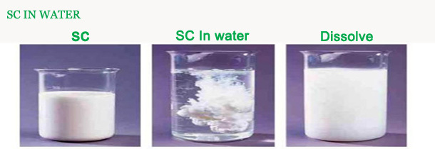 SC in water.jpg