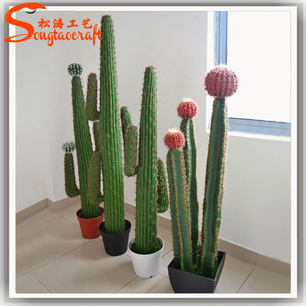 Кактусы высокие домашние фото Source Cactos artificiais tropical nomes de nomes de plantas cactus cactus plant