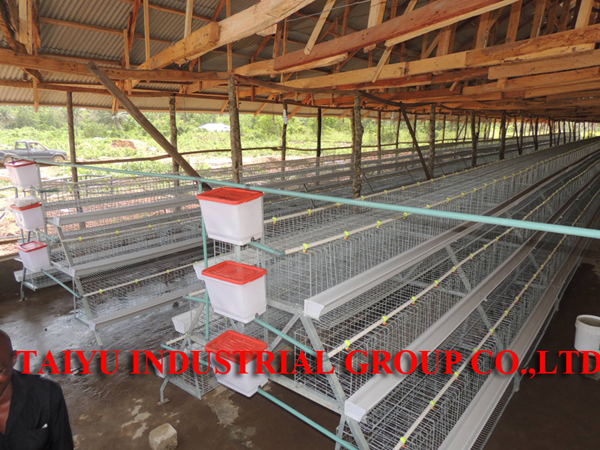 TAIYU Best Sale Chicken Egg Layer Cages in South Africa, View best sale