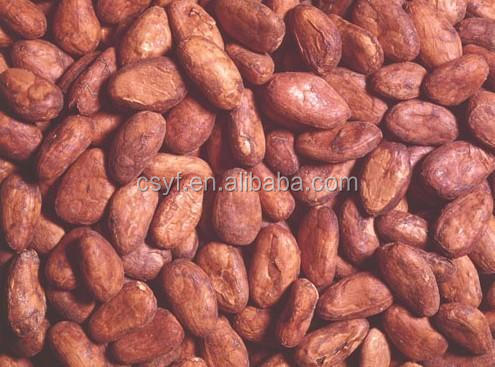 cocoa extract powder cacao theobromine