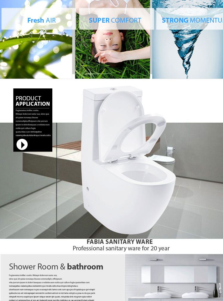 新しい浴室のデザインパイプライン総ガラス張りのセラミックワンピース水洗トイレa048直接バスルームのトイレ仕入れ・メーカー・工場