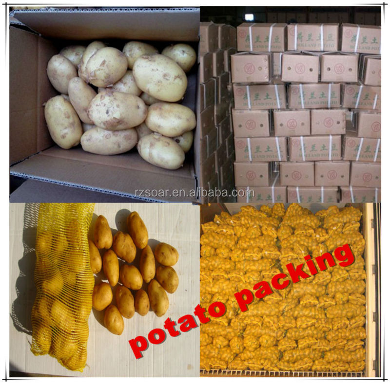 potato in container