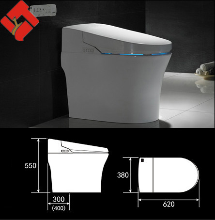 新製品の豪華なバスルームのデザイン2015スマートトイレ水槽ません仕入れ・メーカー・工場