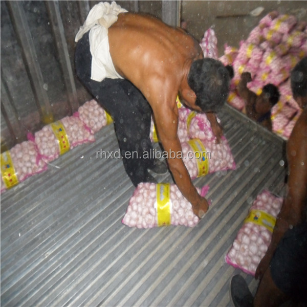 fresh normal white garlic pure white garlic exporter in china