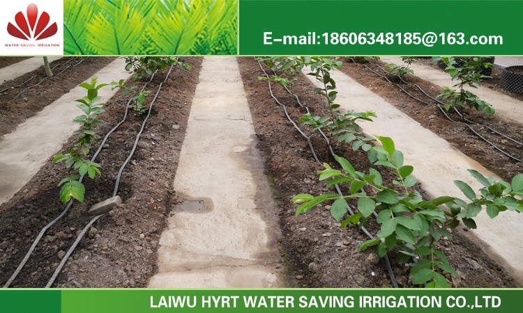 drip irrigation in israel system,Inner flat emitter drip irrigation in israel system 18