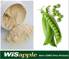 pea protein recipes