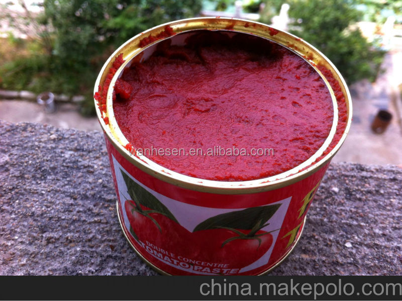 Integrity And Dependability manufacturer suppling Specification Variety70g heavy tomato catsup 28~30