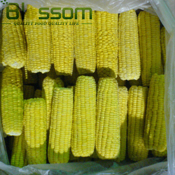 Export china hight quality products food frozen sweet corn vegetable 2014 new product