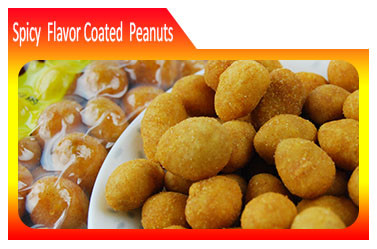 Spicy Flavor Coated Peanuts.jpg