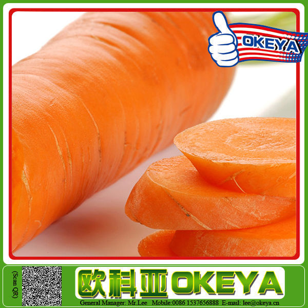 2014 wholesale newest arrival plush carrot