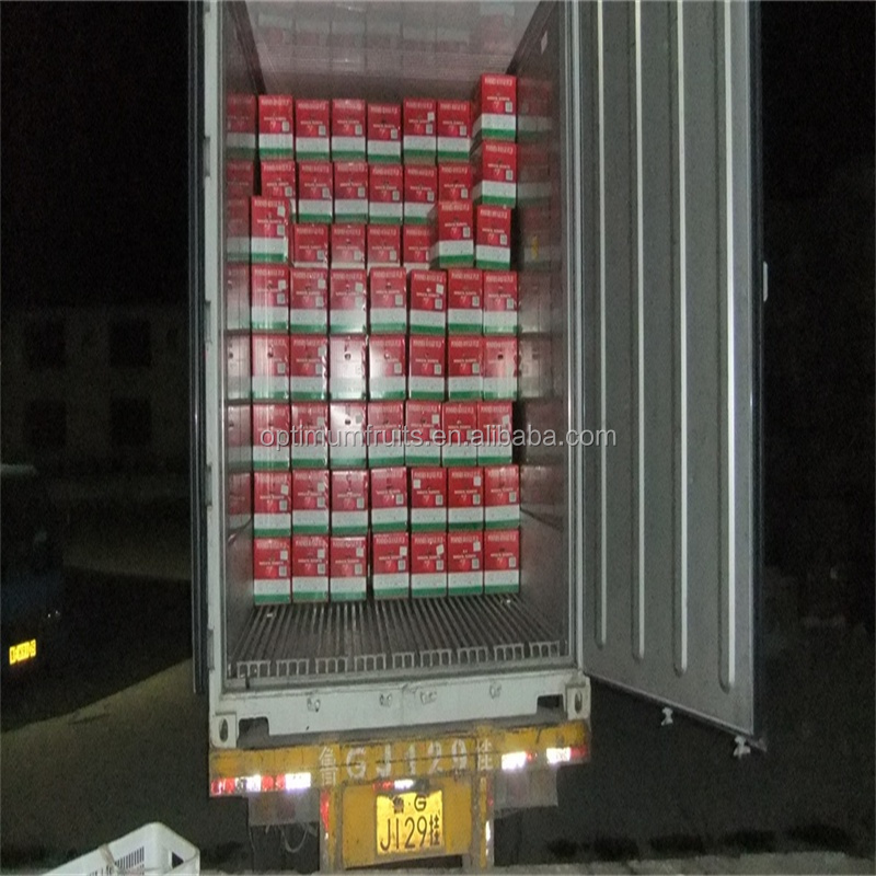 DSCF1957.JPG