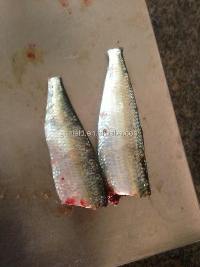Frozen sardine HGT for canning