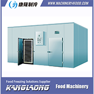 1000kg/h meat vacuum freeze dryer with competitive price