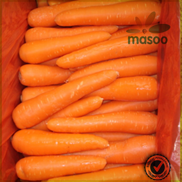 Local fresh plush red carrot /export price for chinese fresh red carrot