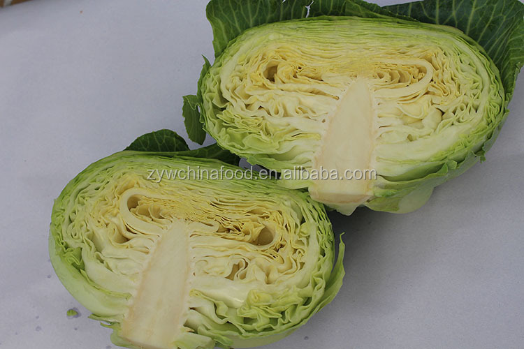 2014 Fresh Cabbage / Green Cabbage With High Quality Enjoying High Reputation