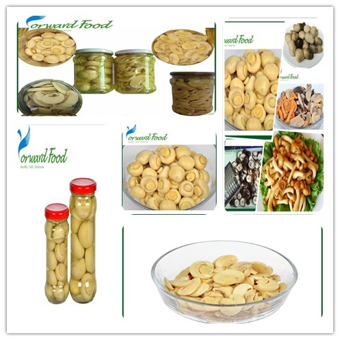 280g best tinned slices mushroom manufacturer