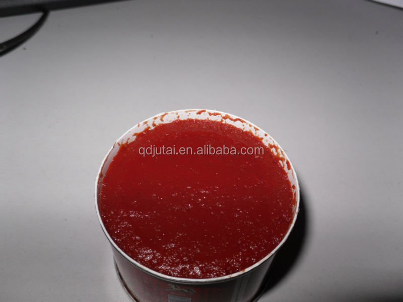 Bulk Tomato Paste Concentrate