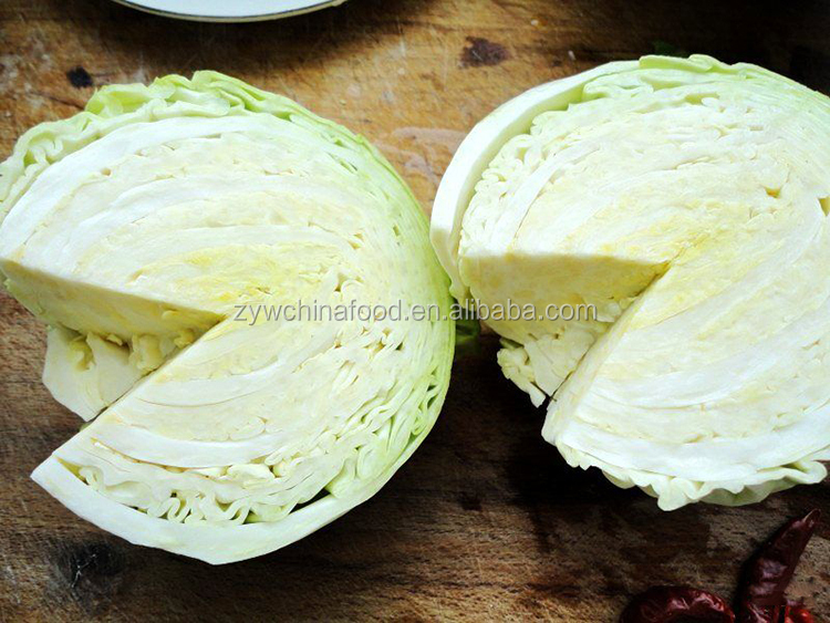 2014 Fresh Cabbage / Green Cabbage With High Quality Enjoying High Reputation