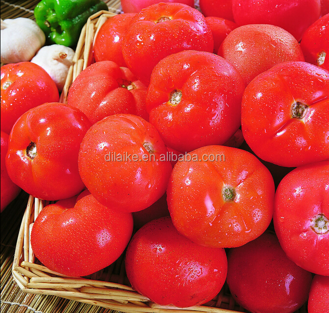 2014 tin tomato paste