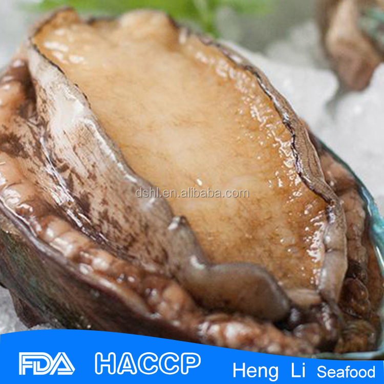 Frozen Cooked Frozen Abalone Meat For Sale Buy Frozen Abalone Meat,Frozen Cooked Abalone
