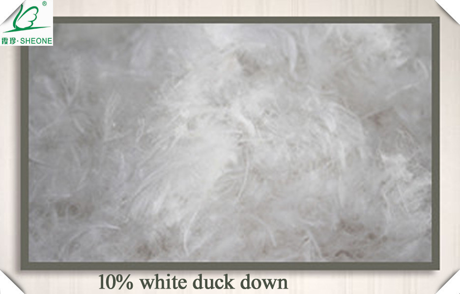 10％ホワイトダックダウンを充填するためのジャケットの服。問屋・仕入れ・卸・卸売り