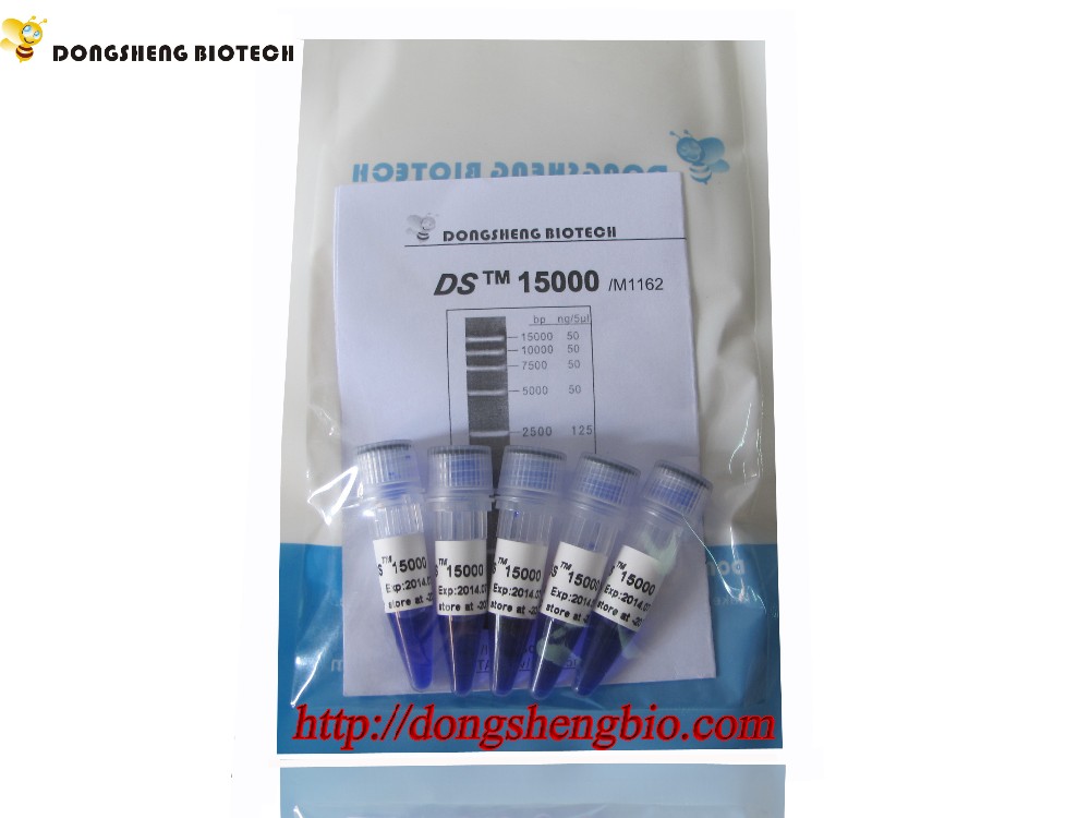 M1162 DS15000.jpg