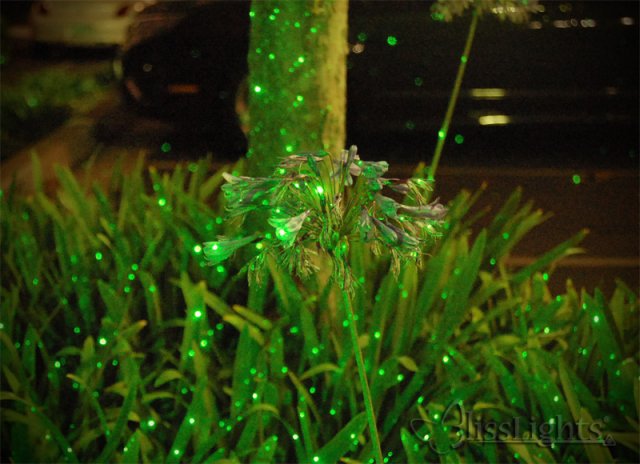 レーザー光屋外防水風景/の庭の装飾ライト/クリスマスツリーの光仕入れ・メーカー・工場