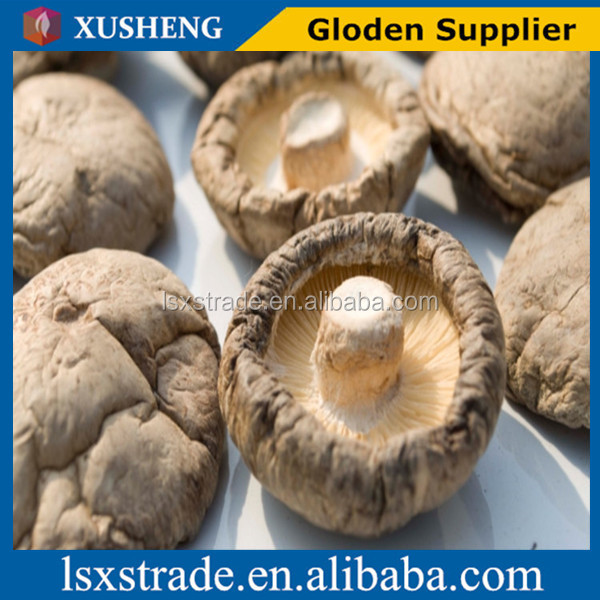 Organic Canned shiitake mushroom whole Dried Shiitake Mushroom in bulk