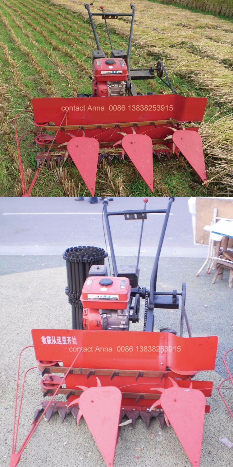 2 rice cutting machine.jpg